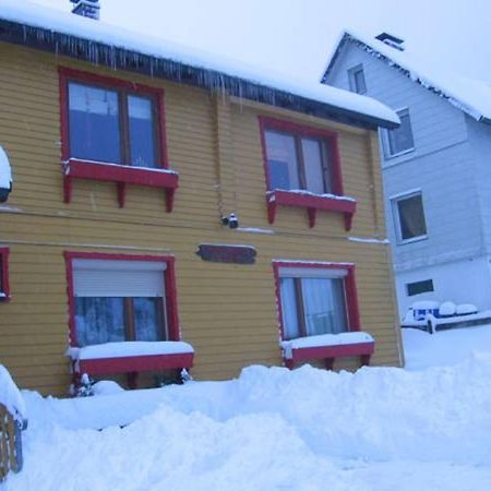 Ferienwohnung Loipe Braunlage Dış mekan fotoğraf